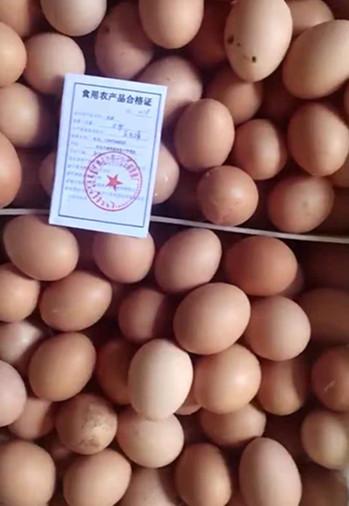 该厂主要生产的食用农产品为鸡蛋,经几次农产品质量安全检查中心抽检