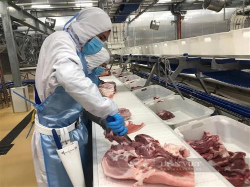 根据越南农业和农村发展部 农产品加工与市场发展局的预测,2022年中国猪肉进口量